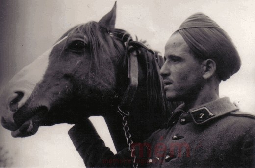 Spahi-Soldat mit Pferd, Juni 1940