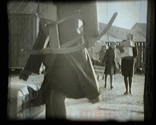 Verladen von Hilfsgütern für Floridsdorf, 1947