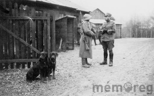 Sentinelles au camp d'internement de Büren, avec des chiens policiers, vers 1940